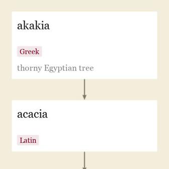 Origin and meaning of acacia