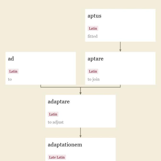 Origin and meaning of adaptation