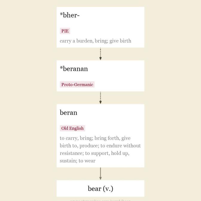 Origin and meaning of bear