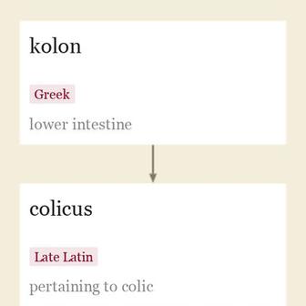 Origin and meaning of colic