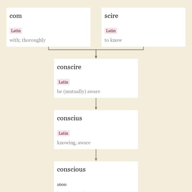 Origin and meaning of conscious