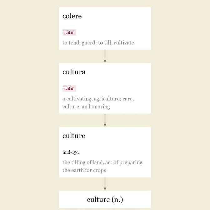 Origin and meaning of culture