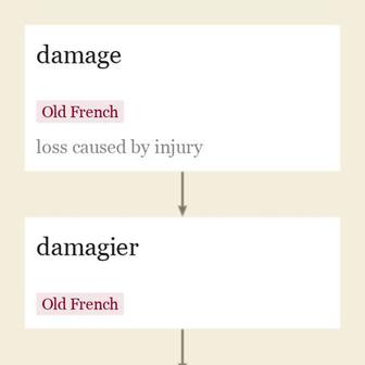 Origin and meaning of damage