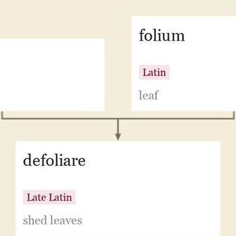 Origin and meaning of defoliation