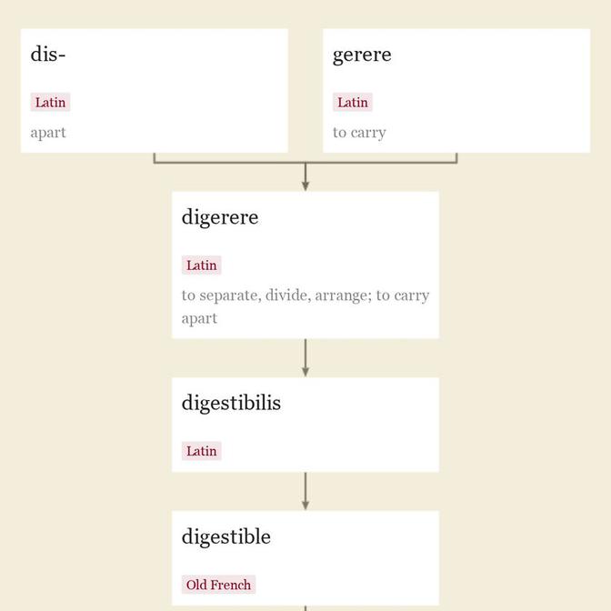 Origin and meaning of digestible