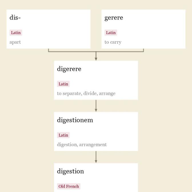 Origin and meaning of digestion