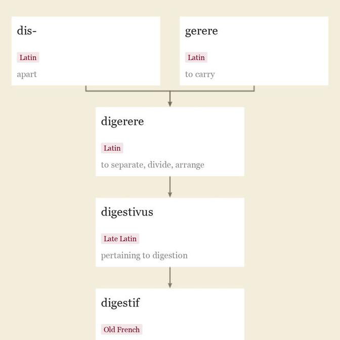 Origin and meaning of digestive