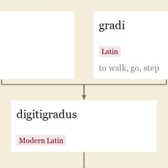 Origin and meaning of digitigrade