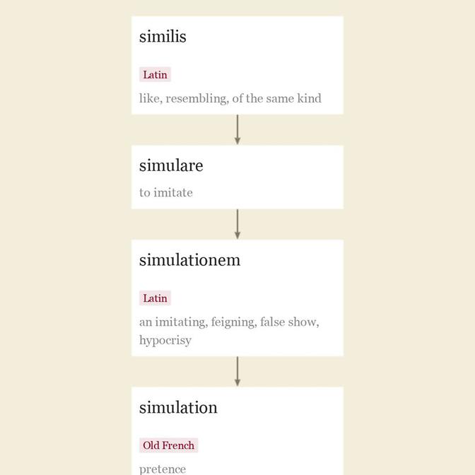 Origin and meaning of simulation