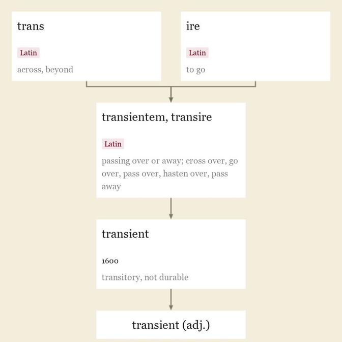 Origin and meaning of transient