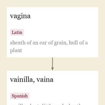 Origin and meaning of vanilla