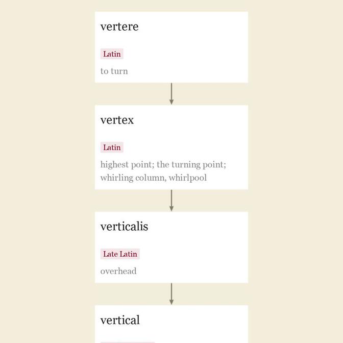 Origin and meaning of vertical