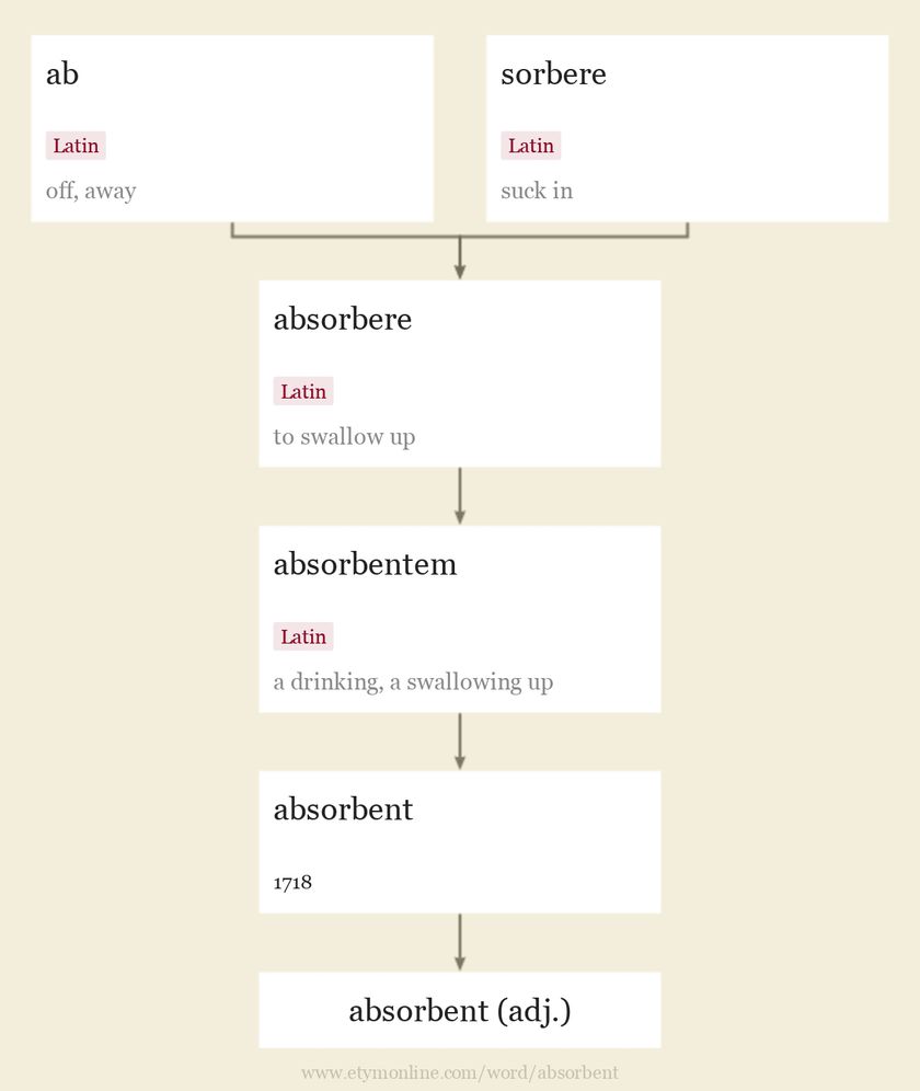 Origin and meaning of absorbent