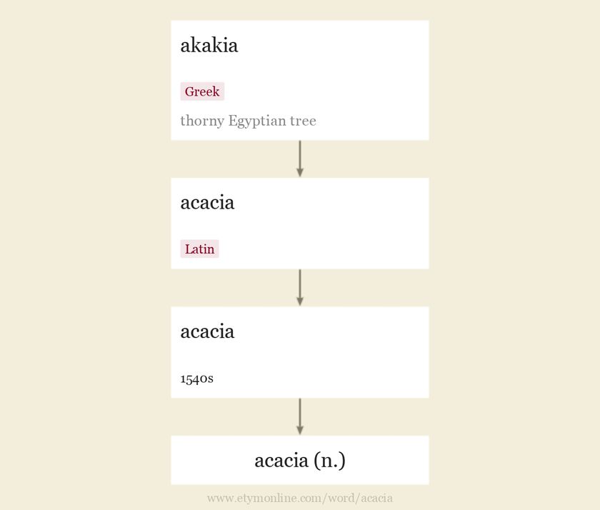 Origin and meaning of acacia