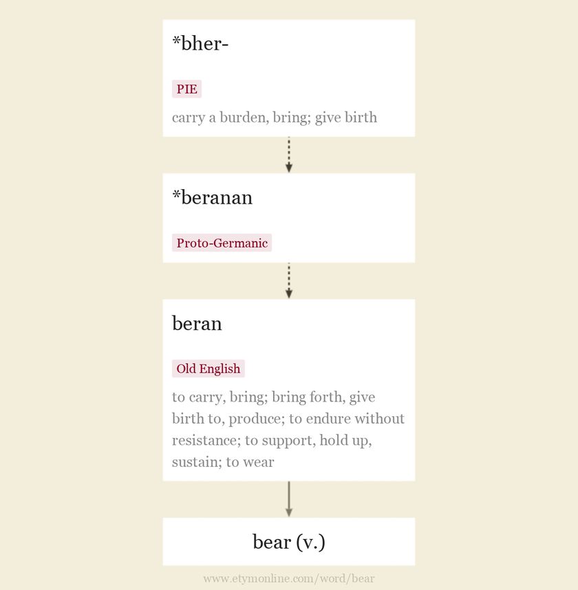 Origin and meaning of bear