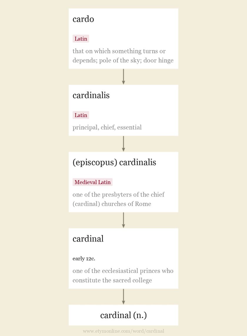 Origin and meaning of cardinal