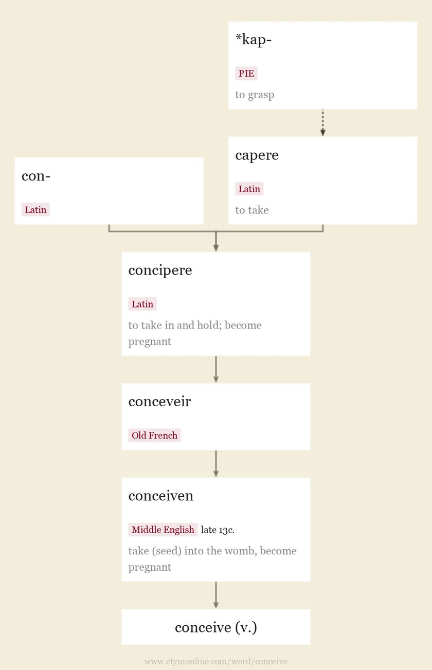 Origin and meaning of conceive