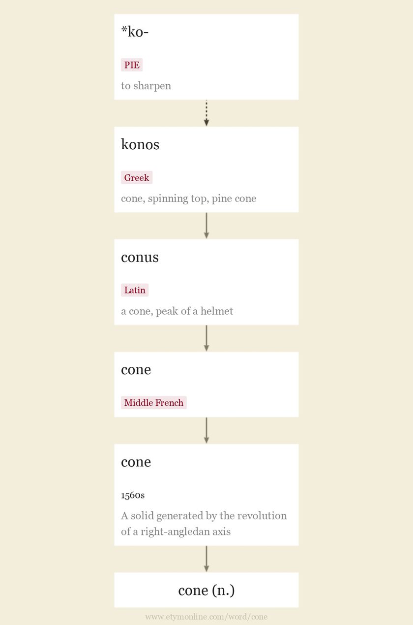 Origin and meaning of cone