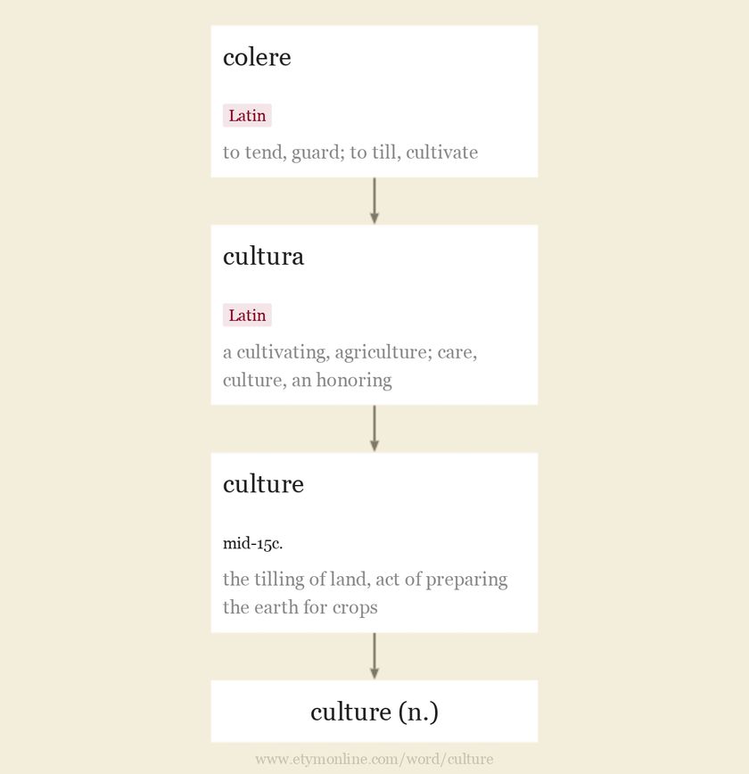 Origin and meaning of culture