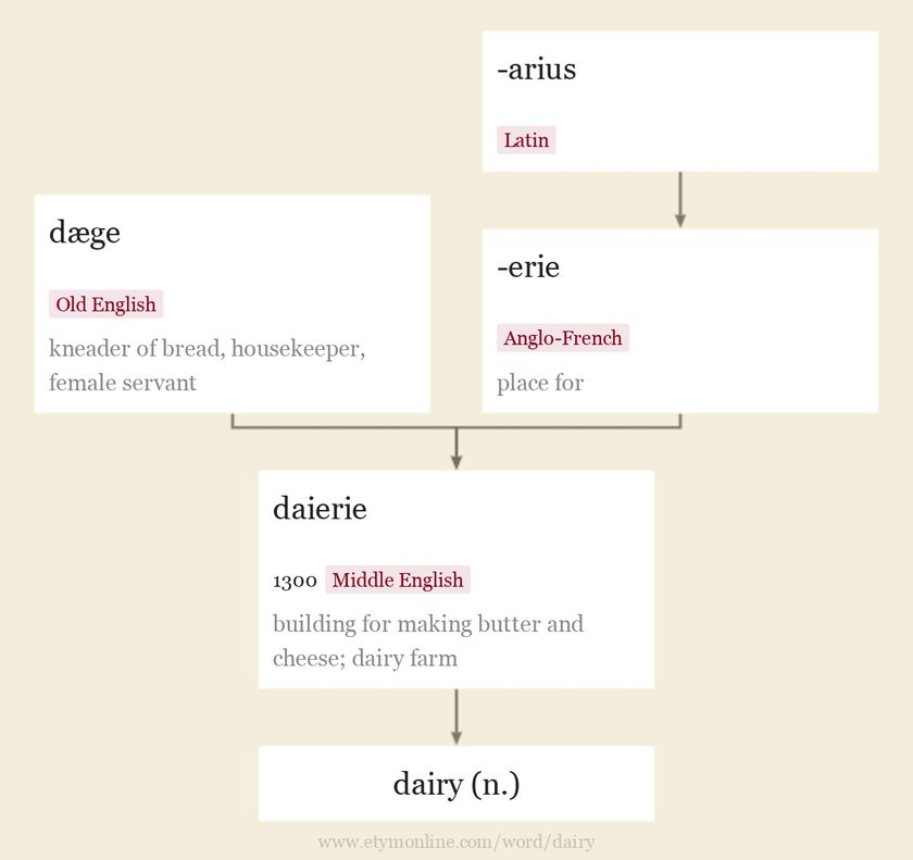 Origin and meaning of dairy