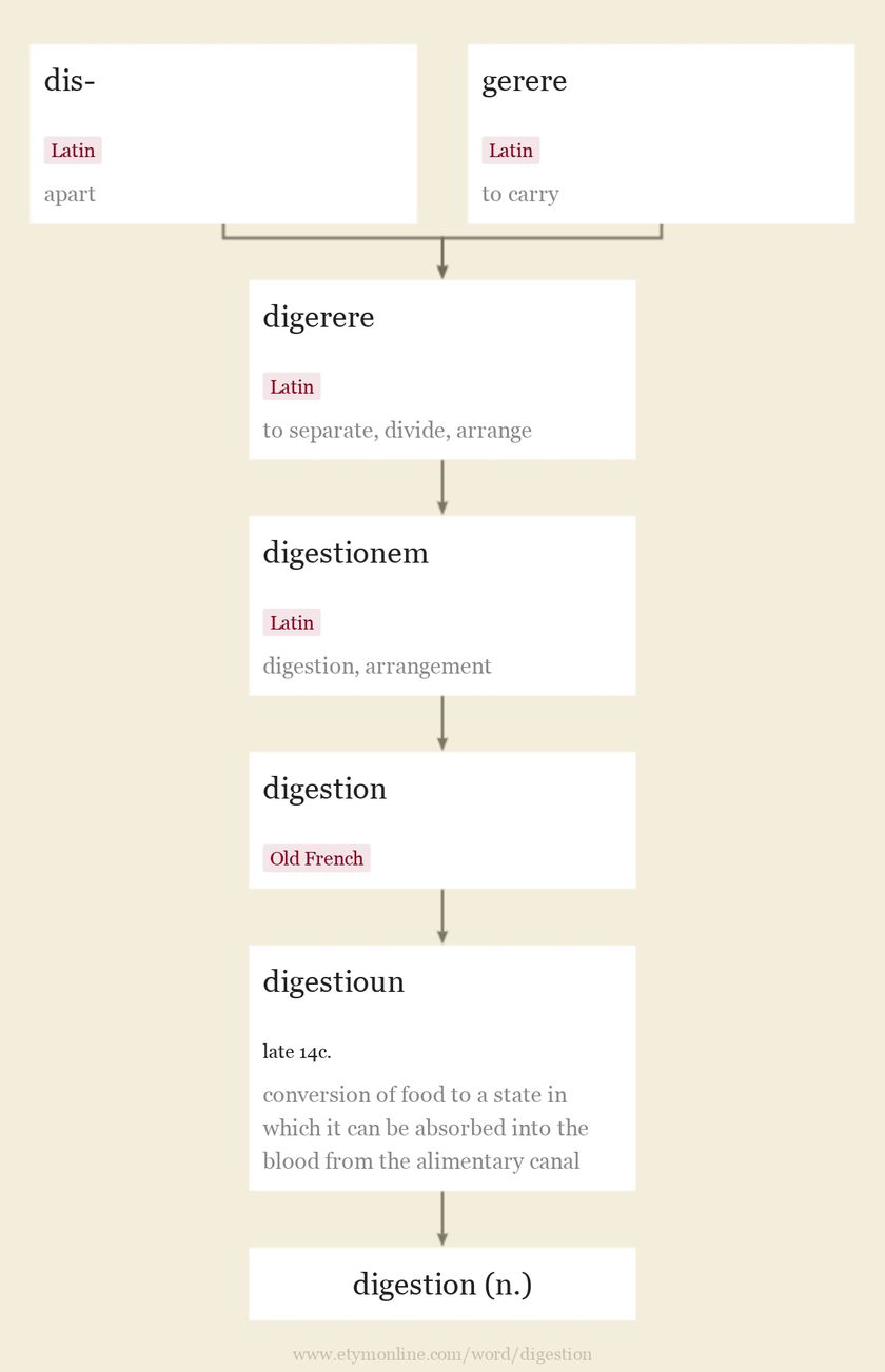 Origin and meaning of digestion