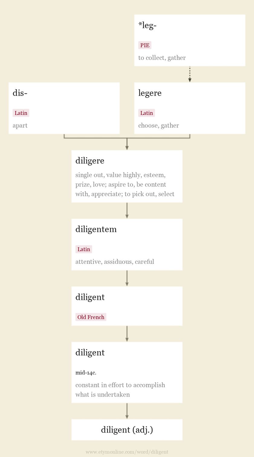 Origin and meaning of diligent