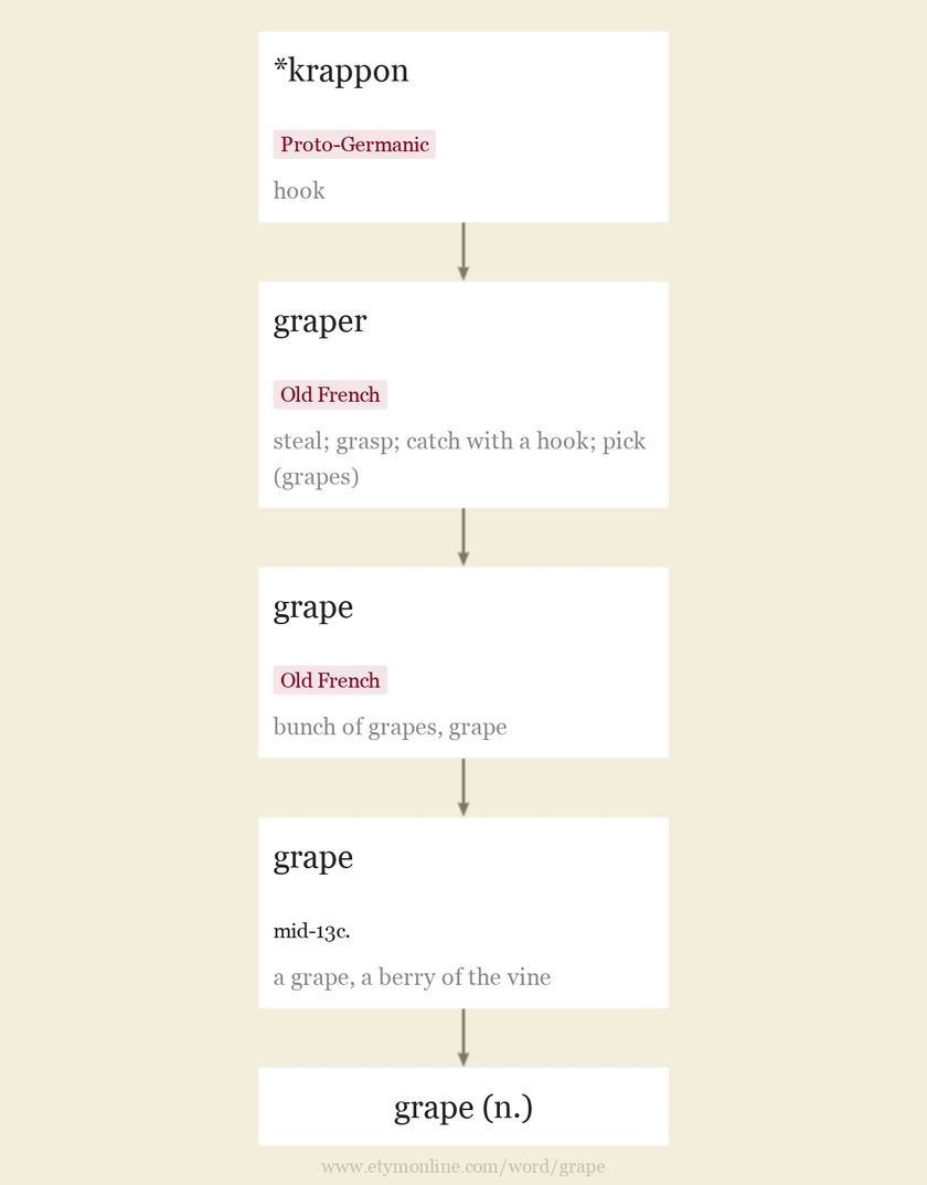 Origin and meaning of grape