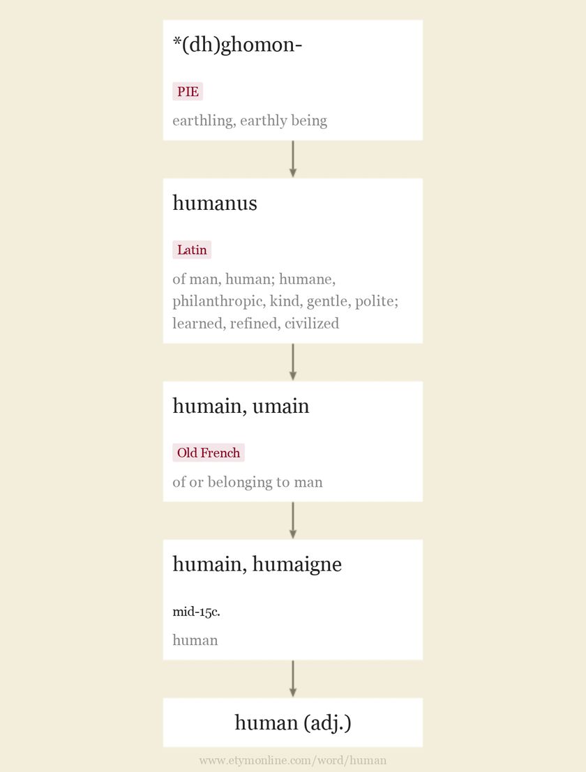 Origin and meaning of human