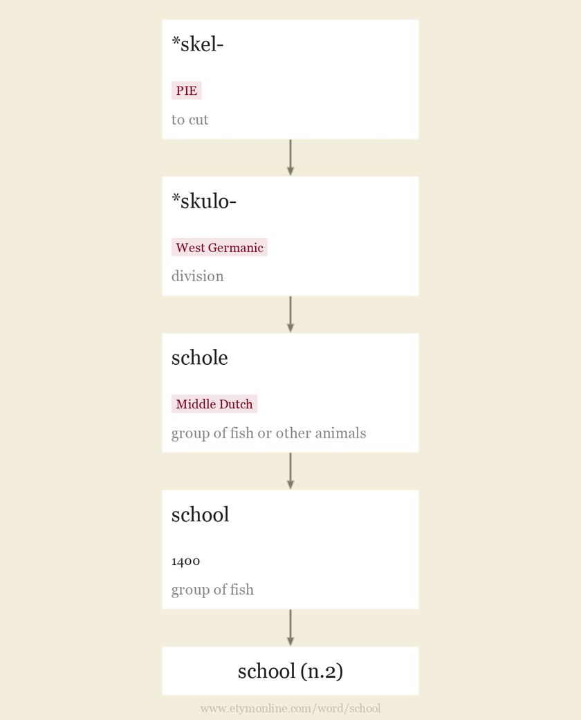 Origin and meaning of school