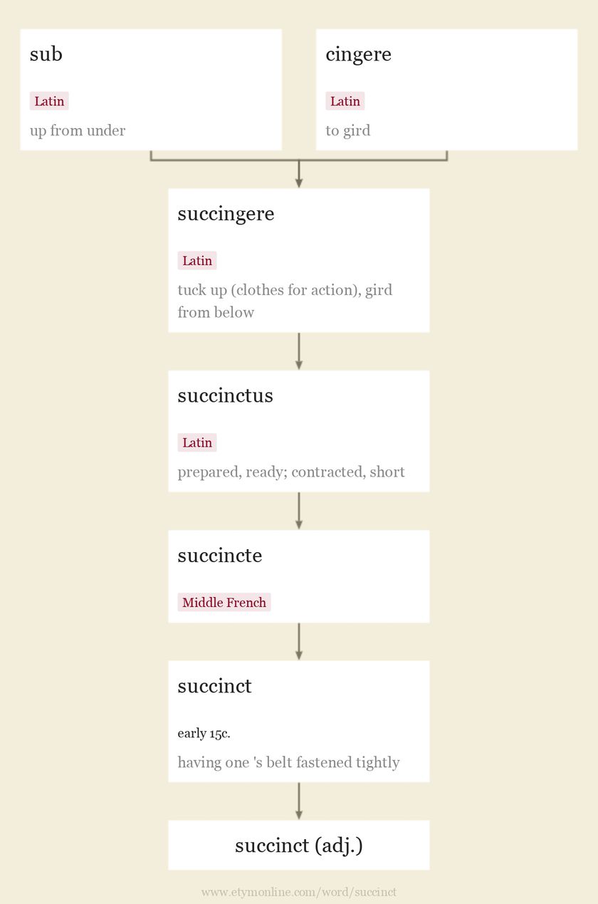 Origin and meaning of succinct