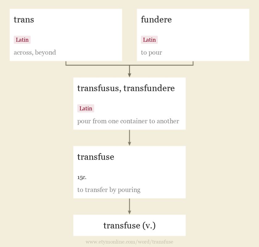 Origin and meaning of transfuse