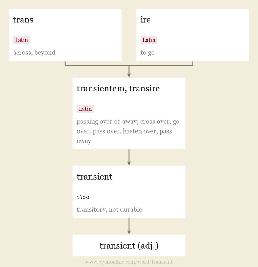 Origin and meaning of transient