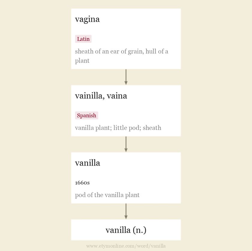 Origin and meaning of vanilla