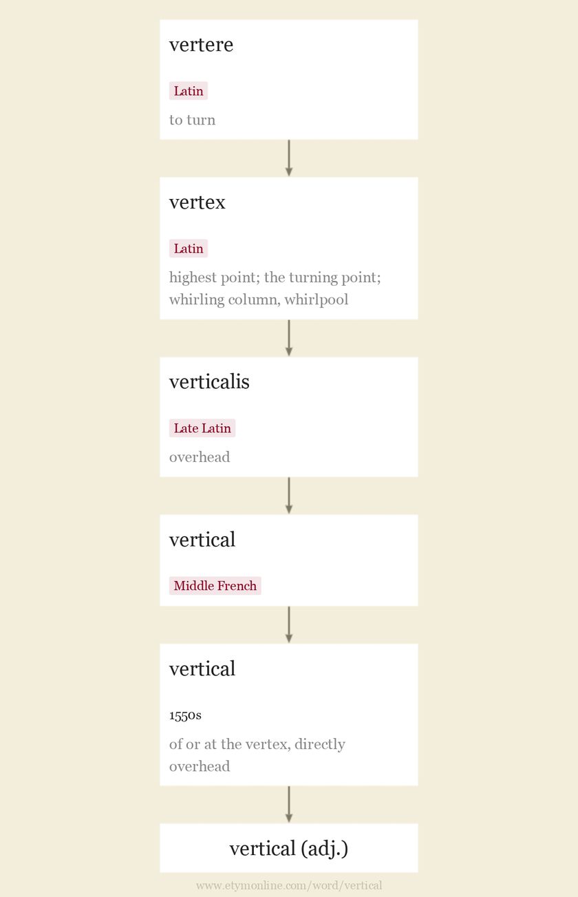 Origin and meaning of vertical